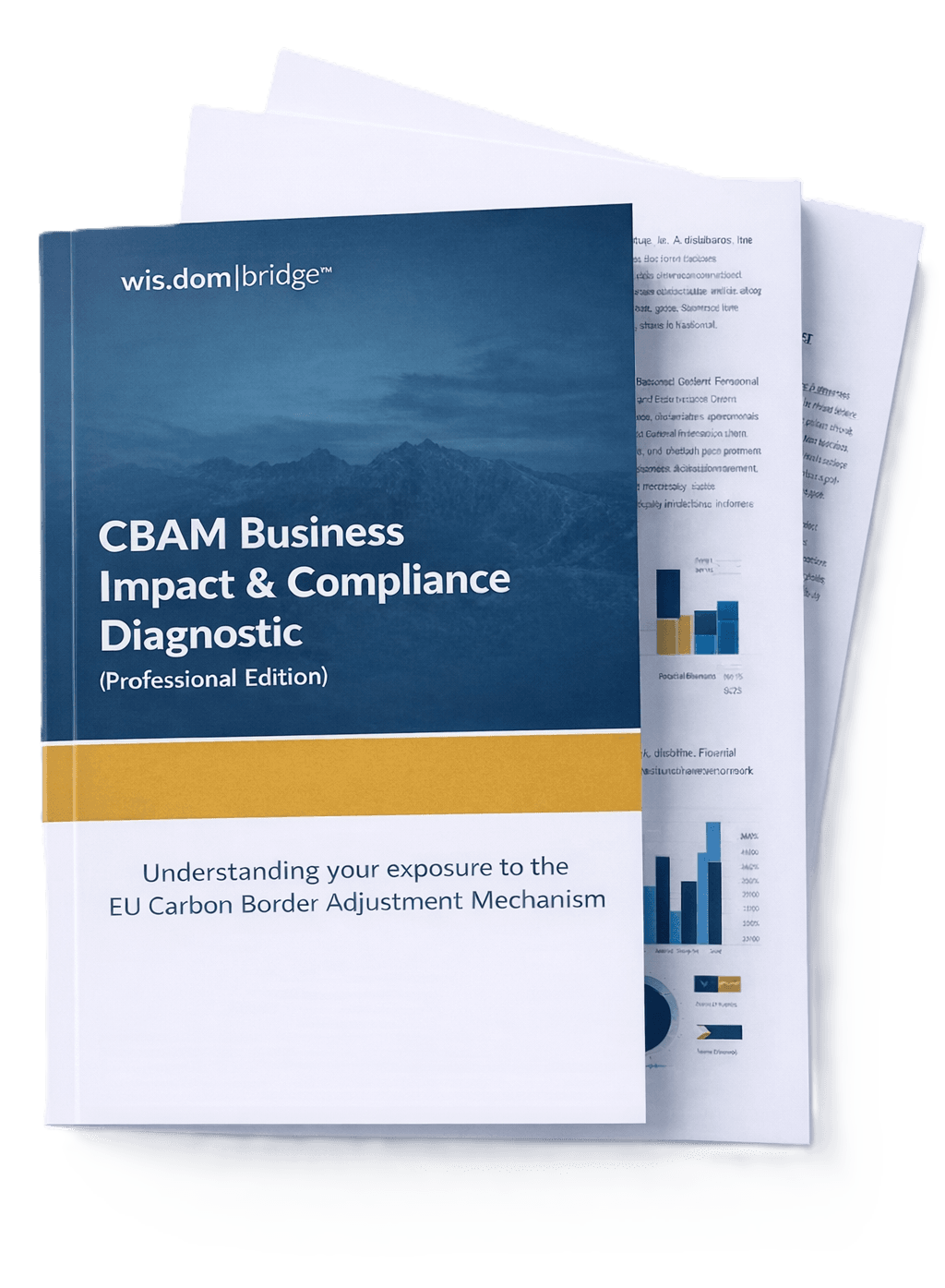 CBAM Business Impact & Compliance Diagnostic Report